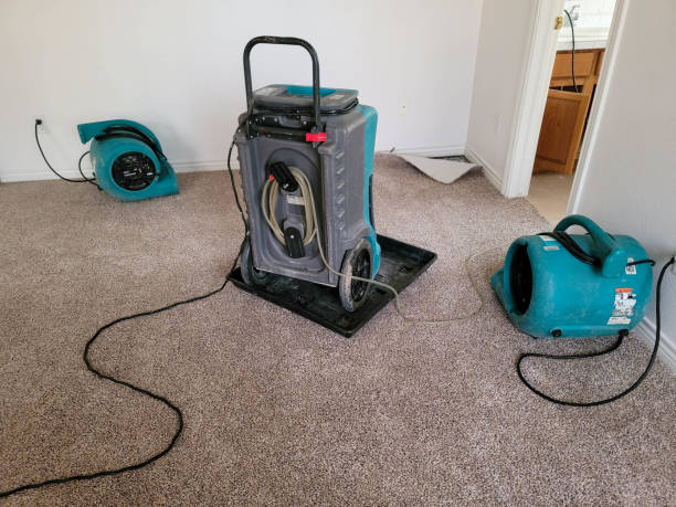 Best Residential water damage restoration  in Mexico, IN