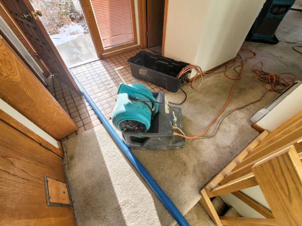 Best Residential water damage restoration  in Mexico, IN